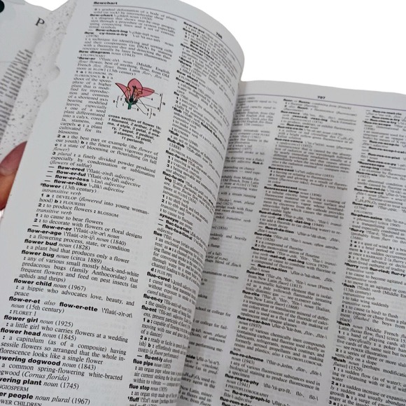 Merriam Webster's Deluxe Dictionary SIDE TABS Tenth Collegiate Edition Hardcover - Picture 7 of 16